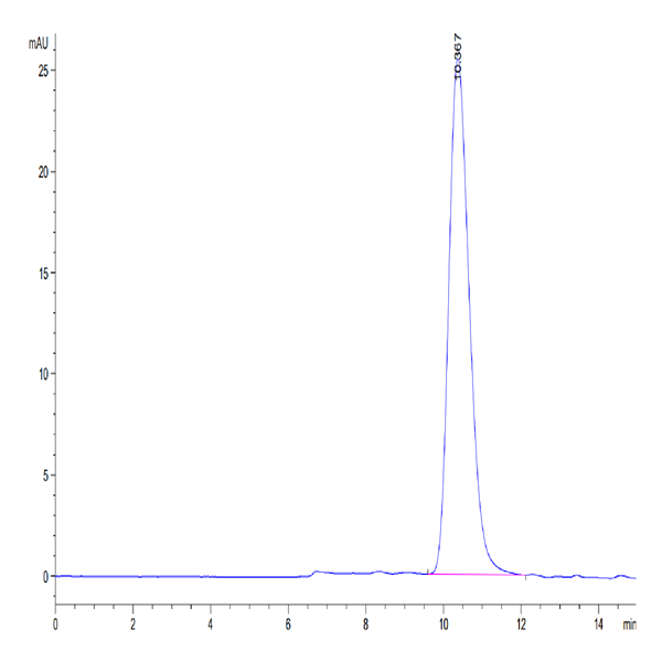 Human Fc gamma RIIIB/CD16b (NA1) Protein (FCR-HM11B)