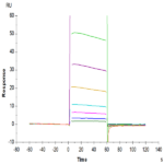 Human Fc gamma RIIA/CD32a (R167) Protein (FCR-HM42A)