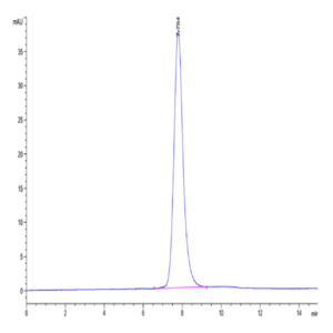 Human Fc gamma RIIA/CD32a (R167) Protein (FCR-HM42A)