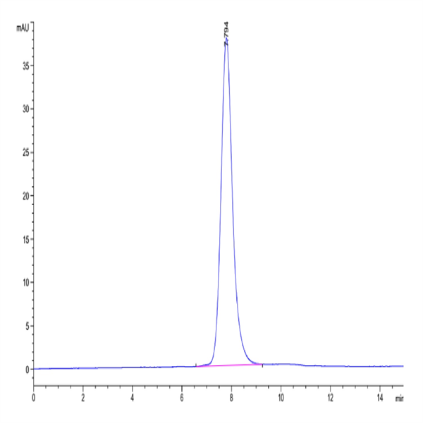 Human Fc gamma RIIA/CD32a (R167) Protein (FCR-HM42A)