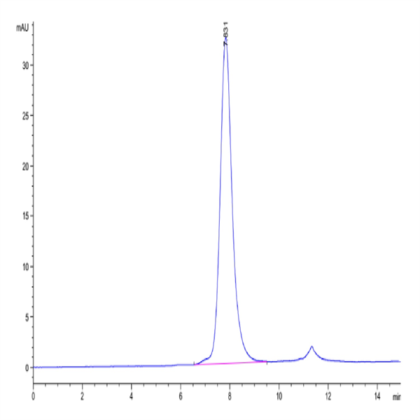 Biotinylated Human Fc gamma RIIA/CD32a (R167) Protein (FCR-HM42AB)