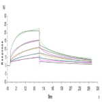 Human Fc gamma RIIIA/CD16a (V176) Protein (FCR-HM43A)