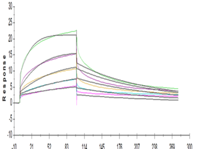 Human Fc gamma RIIIA/CD16a (V176) Protein (FCR-HM43A)