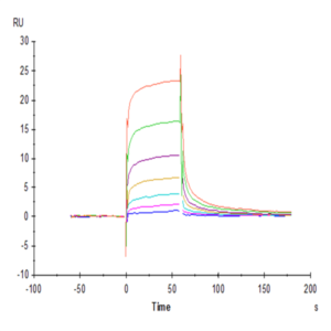 Biotinylated Human Fc gamma RIIIA/CD16a (V176) Protein (FCR-HM43AB)