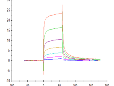 Biotinylated Human Fc gamma RIIIA/CD16a (V176) Protein (FCR-HM43AB)