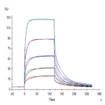 Mouse Fc gamma RIV/CD16-2 Protein (FCR-MM162)