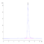 Mouse Fc gamma RIV/CD16-2 Protein (FCR-MM162)