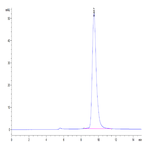 Mouse Fc gamma RIV/CD16-2 Protein (FCR-MM162)