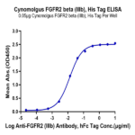 Cynomolgus FGFR2 beta (IIIb) Protein (FGF-CM1BB)