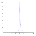 Rhesus macaque FGFR4 Protein (FGF-CM1R4)