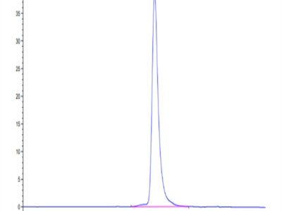 Rhesus macaque FGFR4 Protein (FGF-CM1R4)