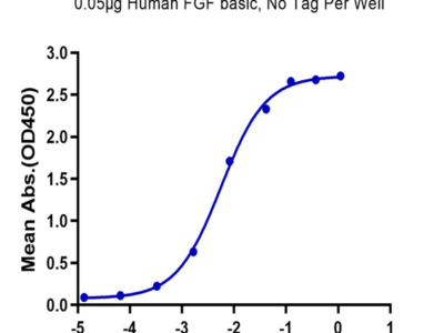 Human FGF basic Protein (FGF-HE001)