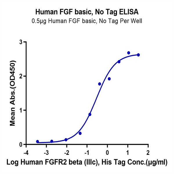 Human FGF basic Protein (FGF-HE001)