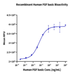 Human FGF basic Protein (FGF-HE001)