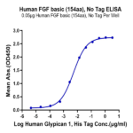 Human FGF basic (154aa) Protein (FGF-HE002)