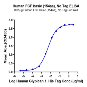 Human FGF basic (154aa) Protein (FGF-HE002)