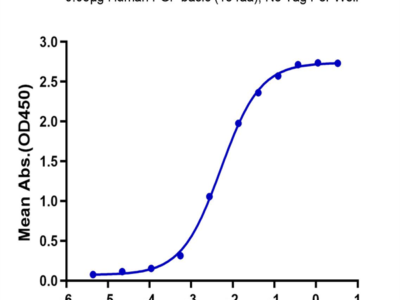 Human FGF basic (154aa) Protein (FGF-HE002)