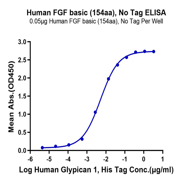Human FGF basic (154aa) Protein (FGF-HE002) Human FGF basic (154aa) Protein (FGF-HE002)