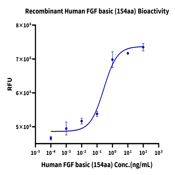 Human FGF basic (154aa) Protein (FGF-HE002)
