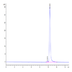 Human FGF basic (154aa) Protein (FGF-HE002)