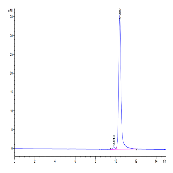 Human FGF basic (154aa) Protein (FGF-HE002)
