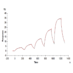 Biotinylated Human FGF10 Protein (Primary Amine Labeling) (FGF-HE010B)