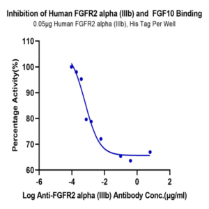 Biotinylated Human FGF10 Protein (Primary Amine Labeling) (FGF-HE010B)