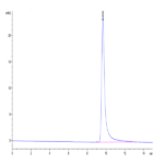 Biotinylated Human FGF10 Protein (Primary Amine Labeling) (FGF-HE010B)