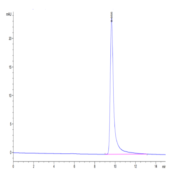 Biotinylated Human FGF10 Protein (Primary Amine Labeling) (FGF-HE010B)