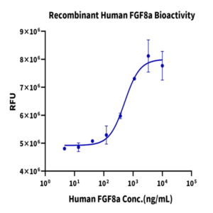 Human FGF8a Protein (FGF-HE08A)