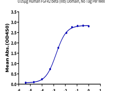 Human FGFR2 beta (IIIb) Domain Protein (FGF-HM0BD)