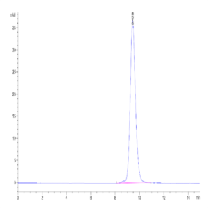 Human FGFR2 beta (IIIb) Domain Protein (FGF-HM0BD)