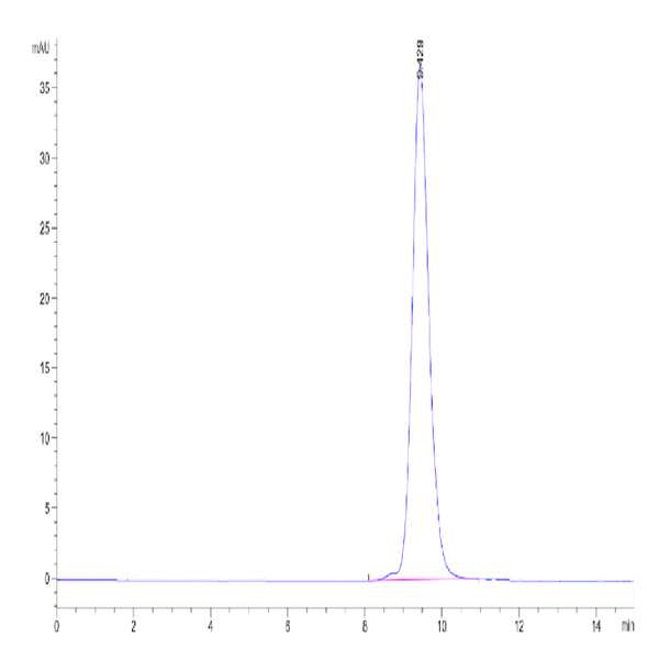 Human FGFR2 beta (IIIb) Domain Protein (FGF-HM0BD)
