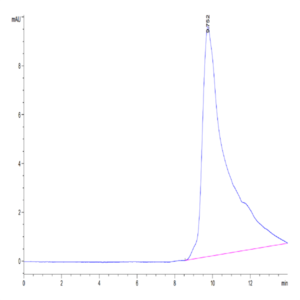 Human FGF21 Protein (FGF-HM121)