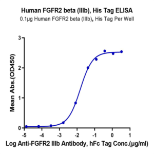 Human FGFR2 beta (IIIb) Protein (FGF-HM12D)