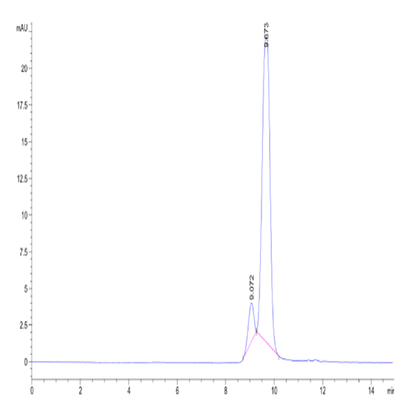 Hamster FGF21 Protein (FGF-HM12T)