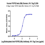 Human FGFR2 beta (IIIb) Domain Protein (FGF-HM2BD)