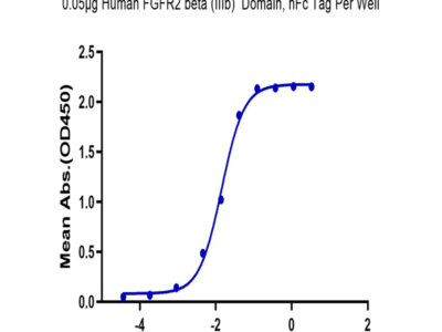 Human FGFR2 beta (IIIb) Domain Protein (FGF-HM2BD)