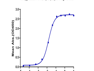 Human FGFR2 alpha (IIIb) Protein (FGF-HM2RA)