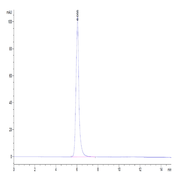 Human FGFR2 alpha (IIIb) Protein (FGF-HM2RA)