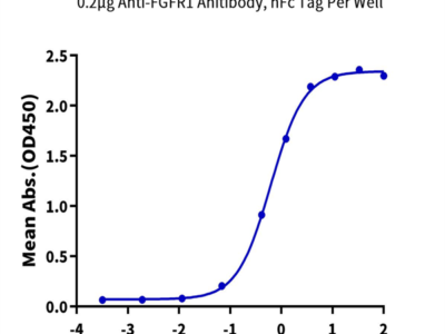 Human FGFR1 beta (IIIc) Protein (FGF-HM41C)