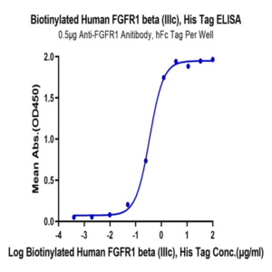 Biotinylated Human FGFR1 beta (IIIc) Protein (FGF-HM41CB)