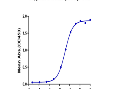 Biotinylated Human FGFR3 alpha (IIIb) Protein (FGF-HM43BB)