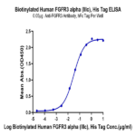 Biotinylated Human FGFR3 alpha (IIIc) Protein (FGF-HM43CB)