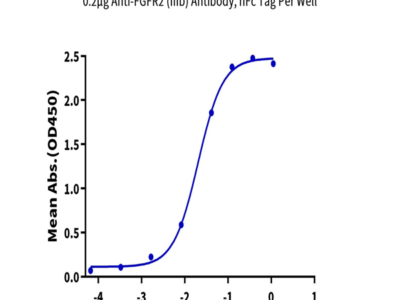 Biotinylated Human FGFR2 alpha (IIIb) Protein (FGF-HM4ABB)