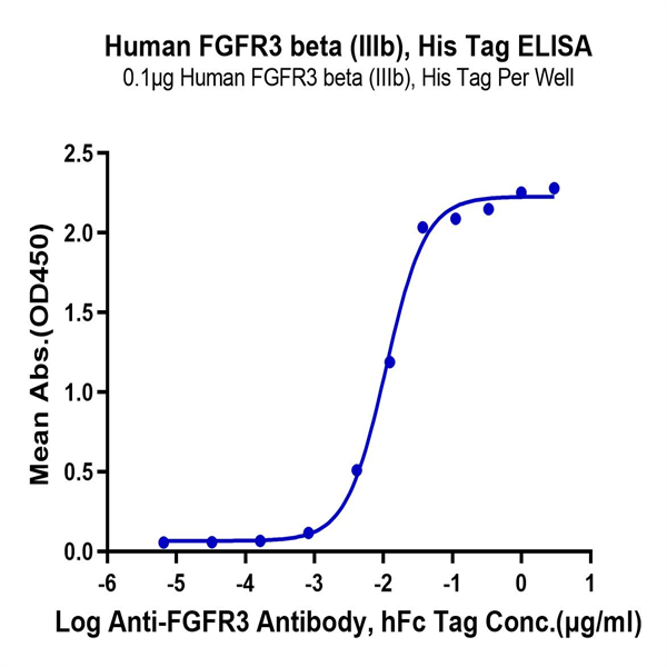 Human FGFR3 beta (IIIb) Protein (FGF-HM4BB) Human FGFR3 beta (IIIb) Protein (FGF-HM4BB)