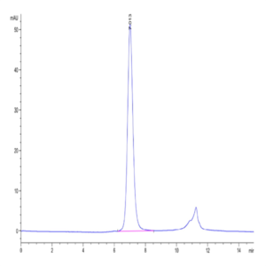 Human FGFR3 beta (IIIb) Protein (FGF-HM4BB)
