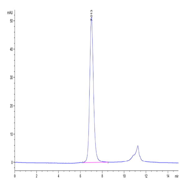 Human FGFR3 beta (IIIb) Protein (FGF-HM4BB)