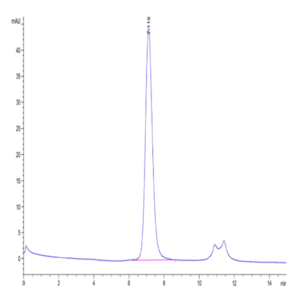 Biotinylated Human FGFR3 beta (IIIb) Protein (FGF-HM4BBB)