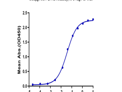 Biotinylated Human FGFR3 beta (IIIc) Protein (FGF-HM4BCB)